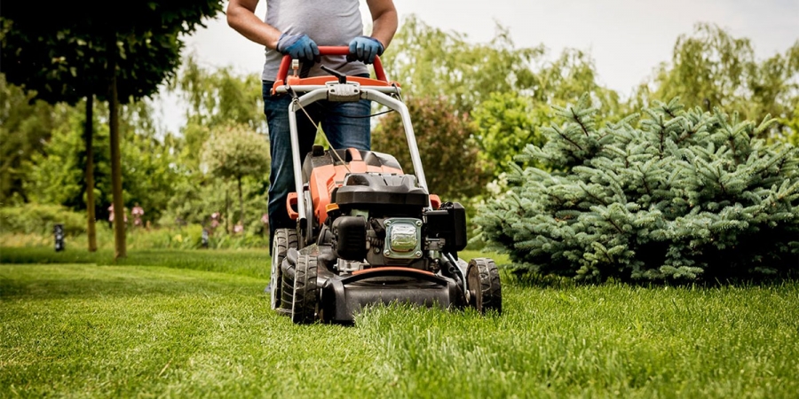Stirling Lawn Solutions image