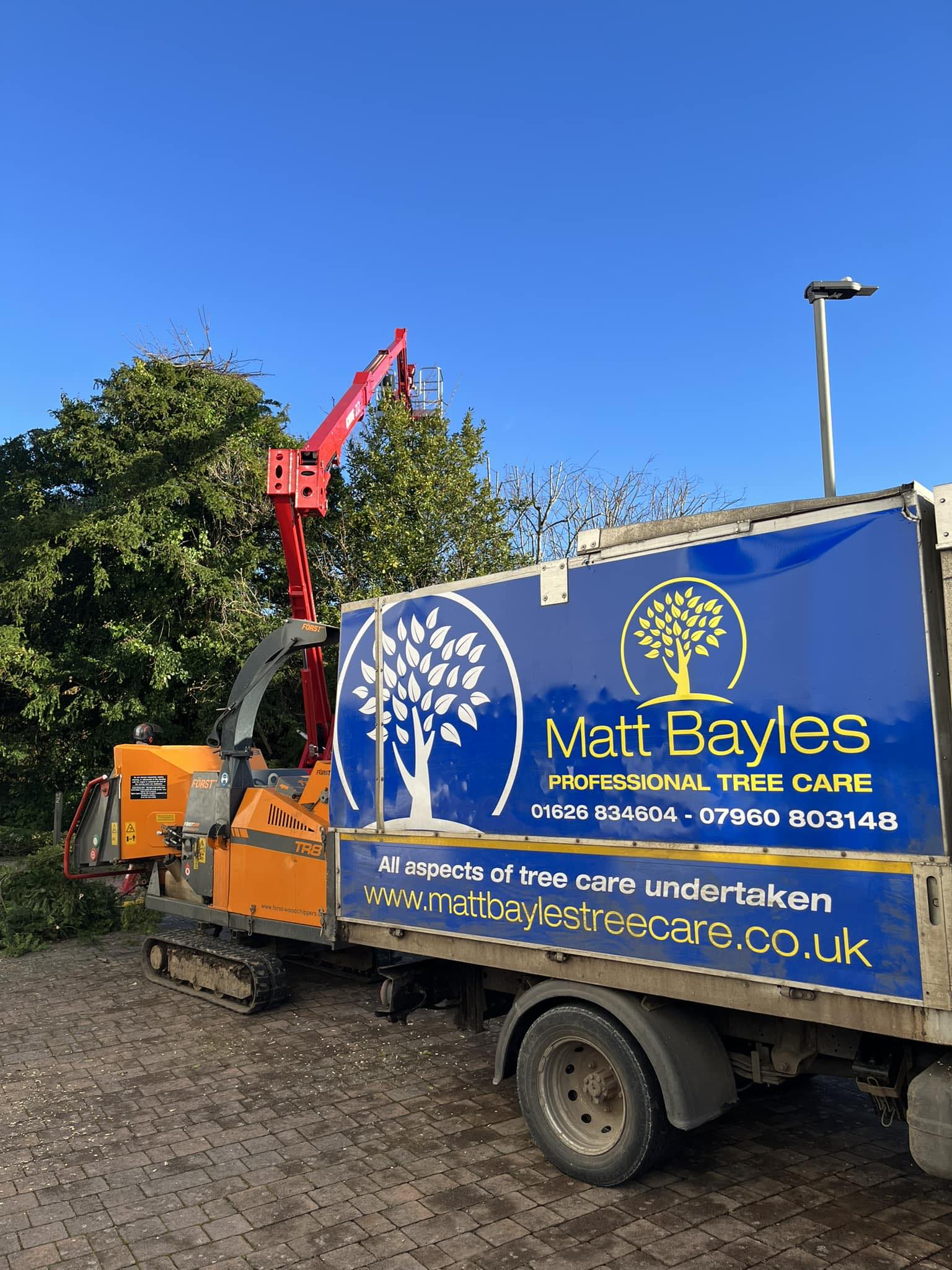 Matt Bayles Tree Care image