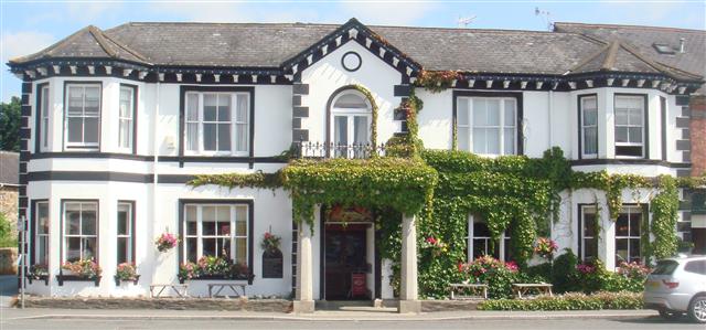 Dolphin Hotel image