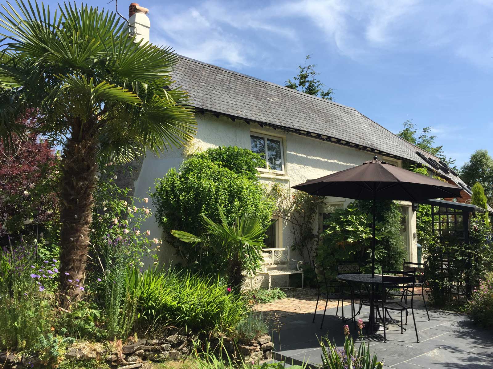 Springfield Cottage Devon image